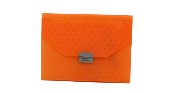 Fascikla A4 sa 13 pregrada